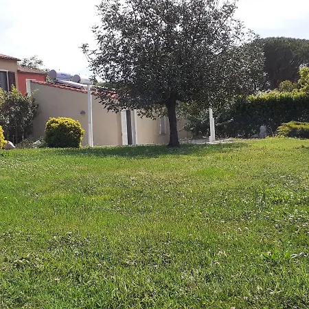 Monolocale 'il Carrubo' Daire Portoferraio